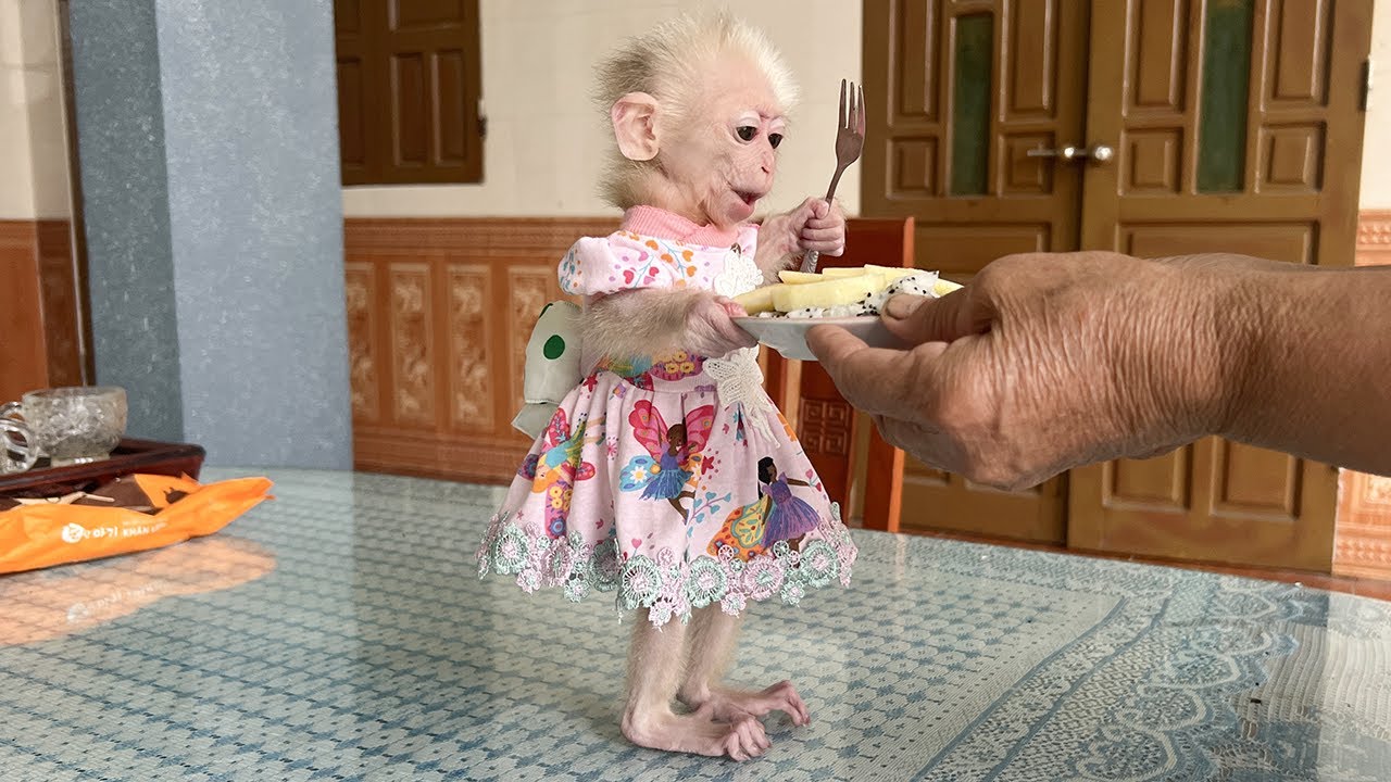 Poor receives special care from Hong and enjoys her favorite fruit!