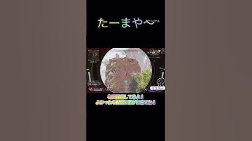 たーまや〜ランパのsr楽しすぎ！よかったらフォローお願いします！#新人vtuber準備中 #apexlegends #gaming #apex #apex初心者