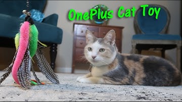 👉 Interactive Cat Toy 🐈RETRACTABLE CAT WAND TOY OnePlus Product Review 👈