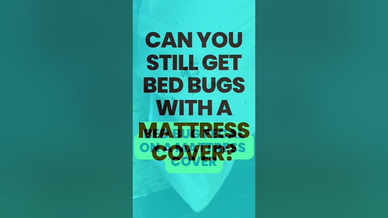 Do Mattress Covers Prevent Bed Bugs