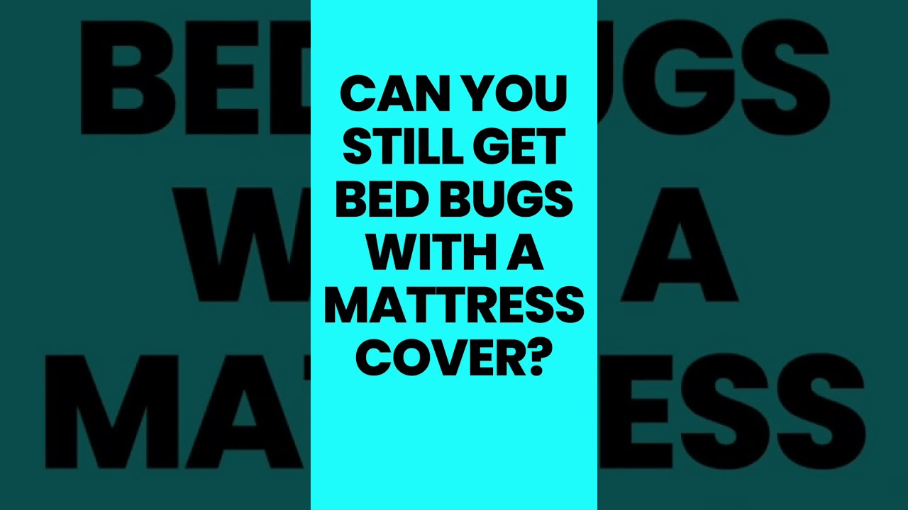 Do Mattress Covers Prevent Bed Bugs?