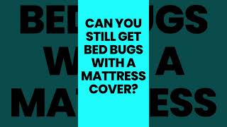 Do Mattress Covers Prevent Bed Bugs?