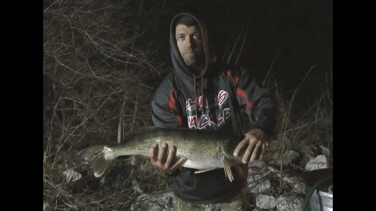 Big Creek Lake Iowa DNR tagging Walleye by WillCFish Tips and Tricks. YouTube