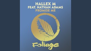 Promise Me (Vocal Mix Edit)