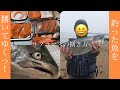 【サクラマスの捌き方】自分で釣った60cm高級魚を捌く動画