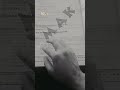 Mechanism of sex determination 🔥