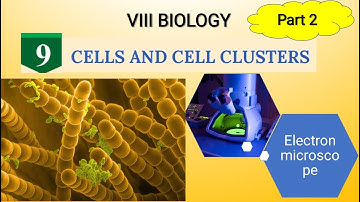 Cells and cell Clusters Class 8 biology chapter9 English medium newtextbook 2025 part2