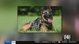 Gwinnett County K9 shot, killed