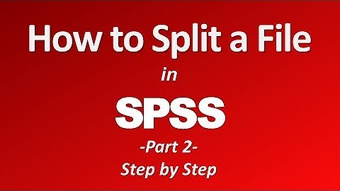 How to Split a File in SPSS (Part 2)