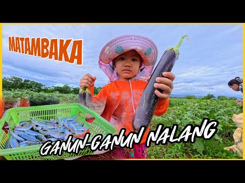 DAMING BLESSINGS NA MATAMBAKA