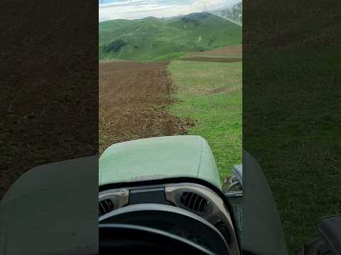 Discing in the