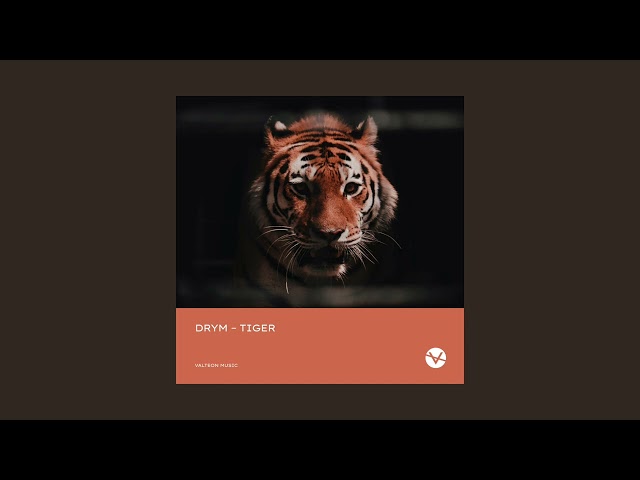 DRYM - Tiger