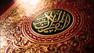 سورة الذاريات القارئ هاني الرفاعي