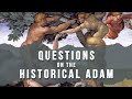 Questions on the Historical Adam | Tactical Faith