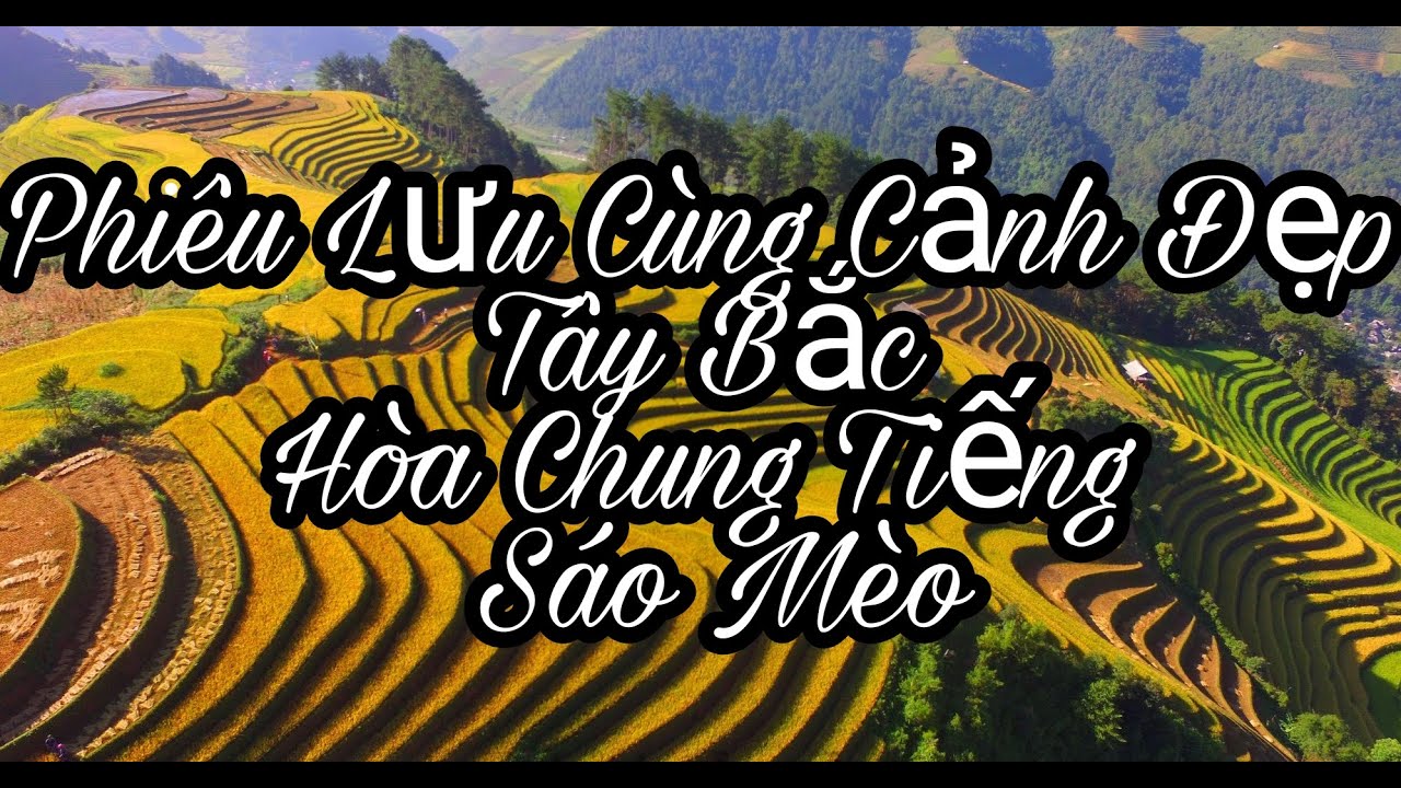 phong cảnh tây bắc Update 2022 Sáo Mèo Hay Nhất Hòa Với Phong Cảnh Hữu Tình Tây Bắc