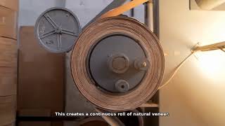Manufacturing of laminated veneer. Part 3-05 Splicing veneer into a roll
