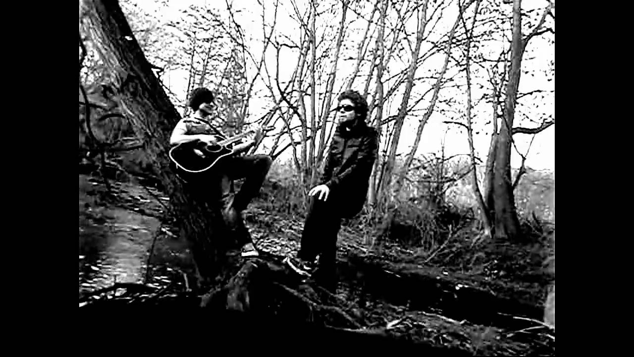 Sunshine Lollipop - Birds and Trees