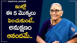 Anantha Lakshmi - ఇంట్లో ఈ 5 మొక్కలు పెంచుకుంటే అనుక్షణం ఆనందమే | Best Motivational Video | Sumantv