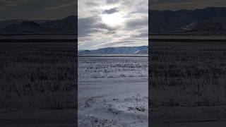 #shorts НА ВЪЕЗДЕ В СЕЛО АЛТАЙКА