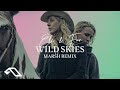 Eli Fur Wild Skies Marsh Remix mp3