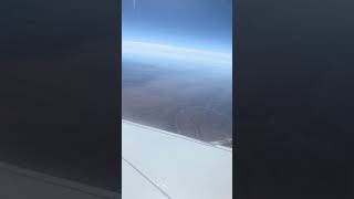 IMG 8994