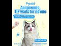 Stop Waiting. FIP Won’t. Your Cat’s Cure Is At fip-cure.com. #fip #cat #gs441524 #cathealth