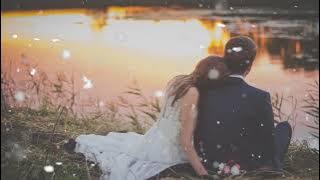 Hari Bahagia Atta Halilintar & Aurel Hermansyah  Acoustic Cover by Aviwkila   Lirik