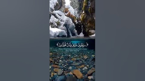عينا فيها تسمى سلسبيلا | تلاوة رائعة من القارئ محمد اللحيدان 💙😴 #قران_كريم #quran #قرآن #تلاوة_خاشعة