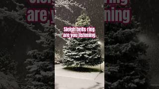 Walking in a “Winter Wonderland” #christmasmusic  #christmasshorts #shorts #shortsfeed #shortssong