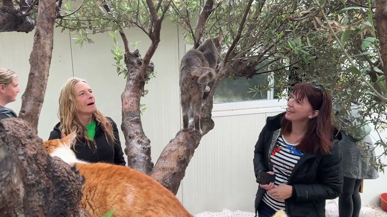 Terry is the Prince and Everyone Loves Him! - Takis Shelter