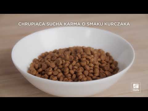 Wideo: K-9 Kraving Dog Food Wycofuje Z Kurczaka Paszteciki Dla Psów