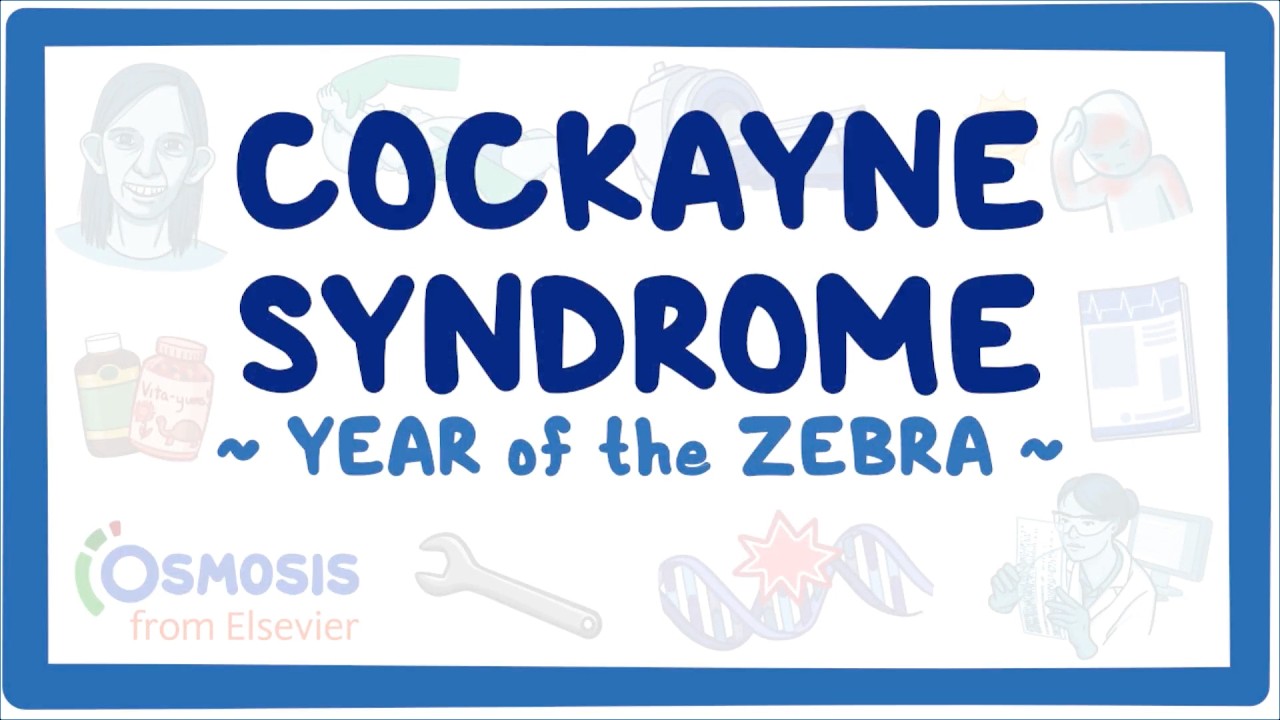 Cockayne syndrome (Year of the Zebra 2026) — Transcript