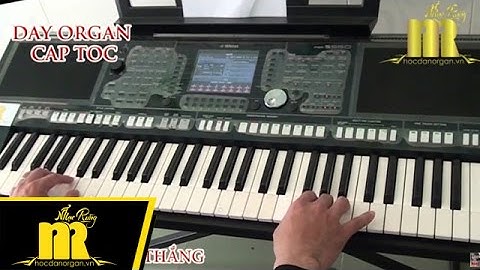 Học Đàn Organ Cấp Tốc TPHCM - BẢN TÌNH CUỐI - Trung Tâm Nhạc Rừng