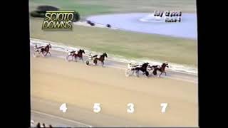 1996 Scioto Downs TUSCON COREY David Miller OHSS 2YO C&G Pace $14,000