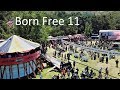 2019 Born Free Motorcycle Show│Full Walk-Through