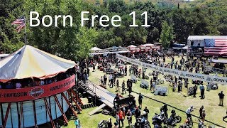 2019 Born Free Motorcycle Show│Full Walk-Through