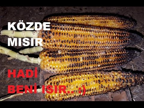 Video: Ateşte Nasıl Pişirilir