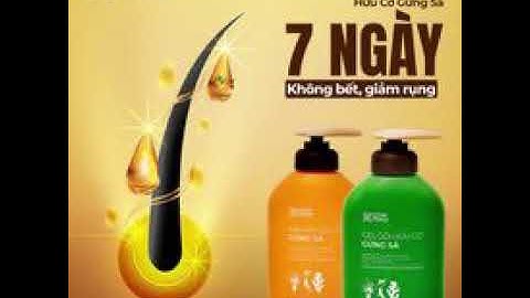 Bộ đôi Gel gội - xả hữu cơ Gừng Sả nhà Cỏ Cây Hoa Lá