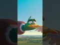 Oui, les oiseaux font ça...
