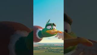 Thumbnail for Oui, les oiseaux font ça...