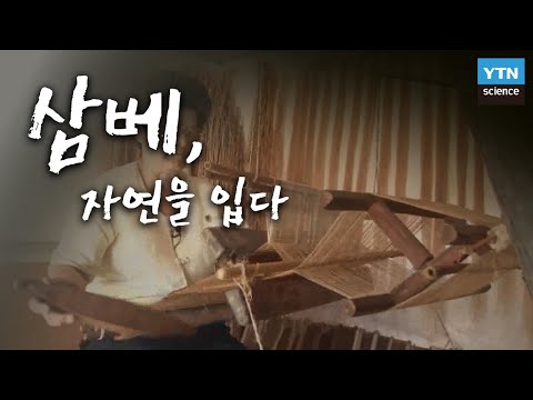 삼베, 자연을 입다 / YTN 사이언스