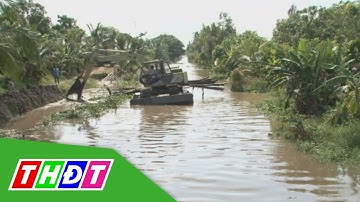 Tháp Mười: Tập trung bảo vệ vùng nuôi cá sặc rằn | THDT