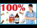 UYDA BITLARDAN 100% QUTULISH / УЙДА БИТЛАРДАН 100% КУТУЛИШ