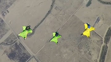Squirrel Swift Wingsuit Flock - 00645