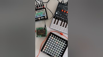 #nornsshield + #microfreak + #zoia #ambient #texture #soundscape #norns #arturiamicrofreak