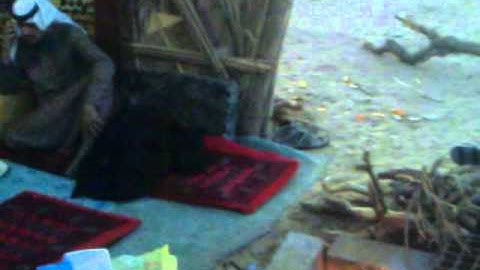 دحيم الحماد تلاوة بمنزل الوالد سعد الحماد