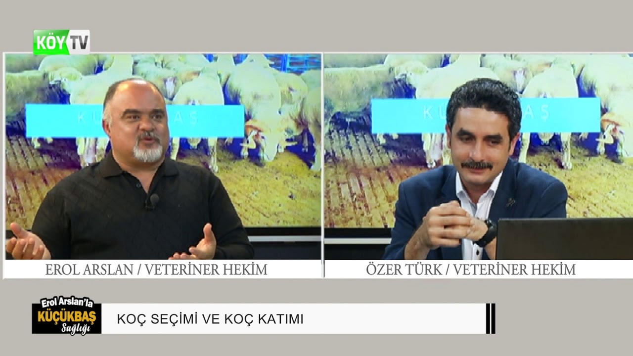 EROL ARSLAN'LA KÜÇÜKBAŞ SAĞLIĞI | KOÇ SEÇİMİ VE KOÇ KATIMI - 2.Bölüm
