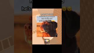 when you come back from school be like💀😭 #roblox #robloxrants