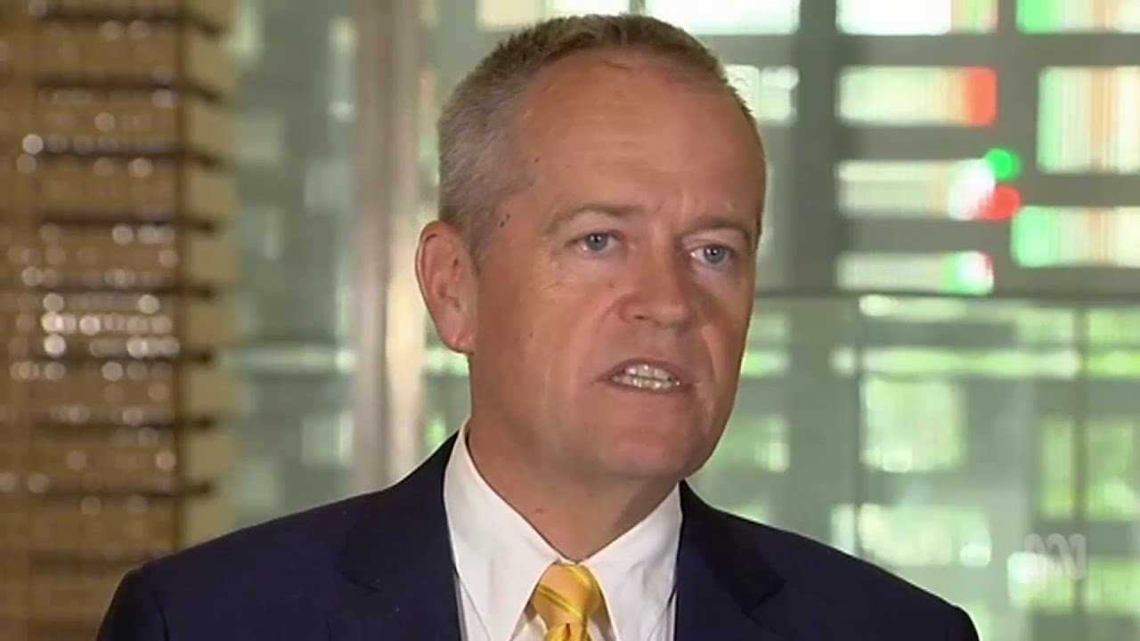 Labor's energy policy will contain a 45 emissions reduction target