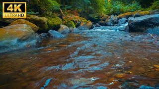 4K Sound of River Flowing in Forest, Relaxing Nature Sounds, white noise for sleeping, meditation .,